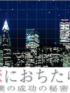 坠入情网我成功的秘密