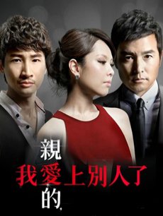 电视剧《亲爱的我爱上别人了》 剧情- PPTV电