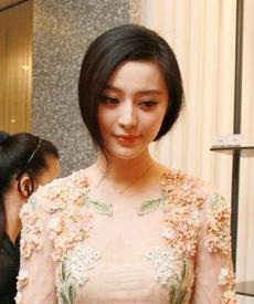 范冰冰一年收入_范冰冰月收入(2)